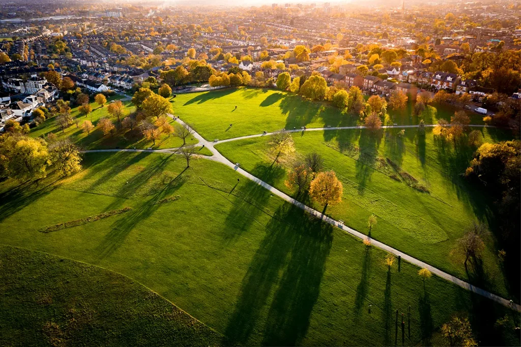 a-city-park-with-trees-and-houses-next-to-it